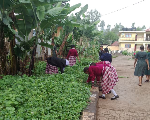 Agricultural Education